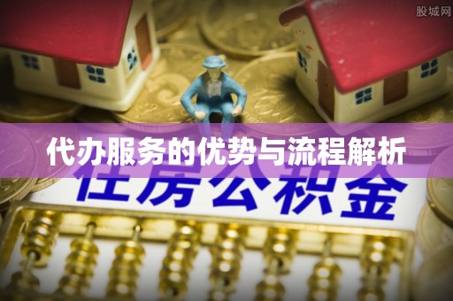 鸠江代办服务的优势与流程解析