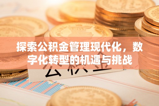 鸠江探索公积金管理现代化，数字化转型的机遇与挑战