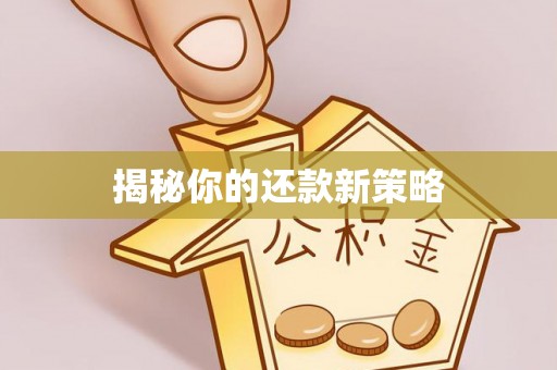 鸠江揭秘你的还款新策略