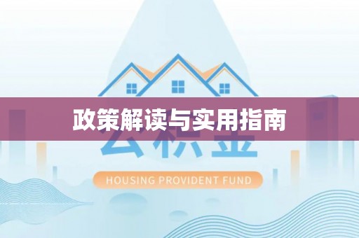 鸠江政策解读与实用指南