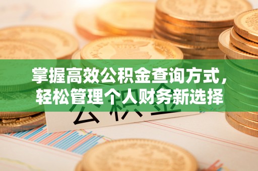 鸠江掌握高效公积金查询方式，轻松管理个人财务新选择
