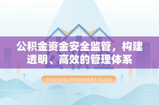鸠江公积金资金安全监管，构建透明、高效的管理体系