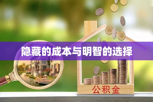 鸠江隐藏的成本与明智的选择