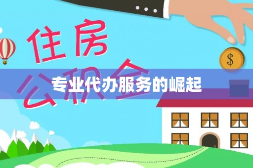 鸠江专业代办服务的崛起