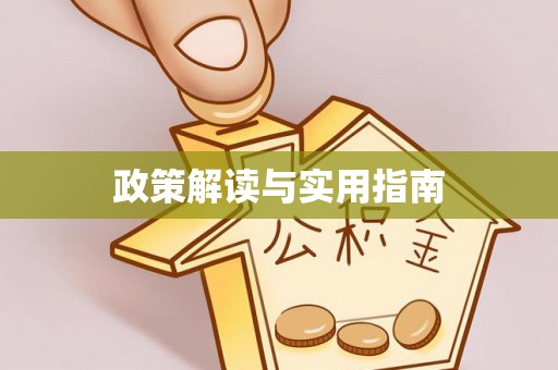 鸠江政策解读与实用指南