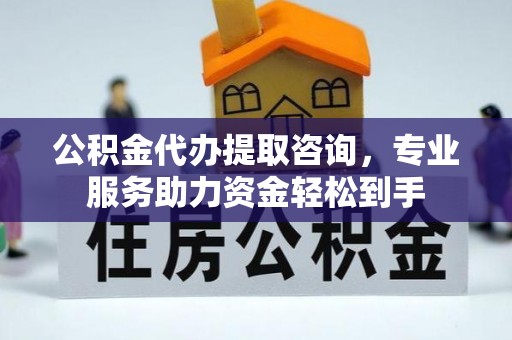 鸠江公积金代办提取咨询，专业服务助力资金轻松到手