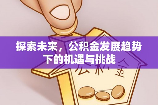 鸠江探索未来，公积金发展趋势下的机遇与挑战