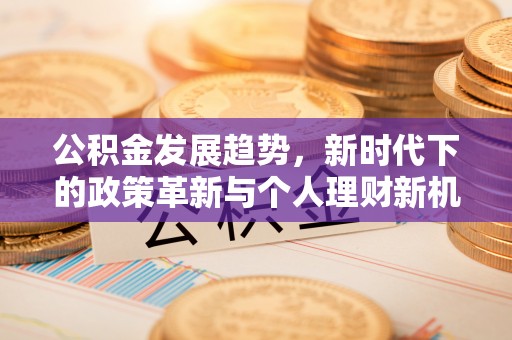 鸠江公积金发展趋势，新时代下的政策革新与个人理财新机遇