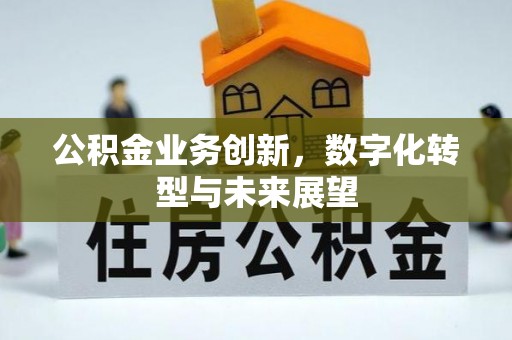 鸠江公积金业务创新，数字化转型与未来展望