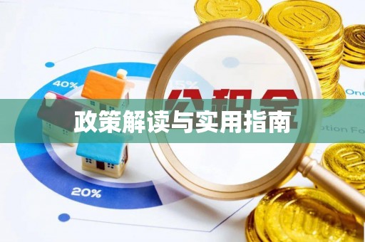 鸠江政策解读与实用指南