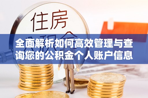 鸠江全面解析如何高效管理与查询您的公积金个人账户信息