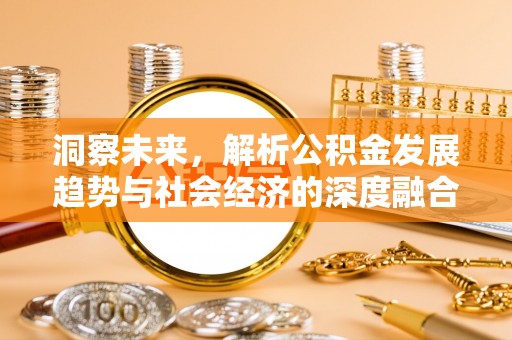 鸠江洞察未来，解析公积金发展趋势与社会经济的深度融合