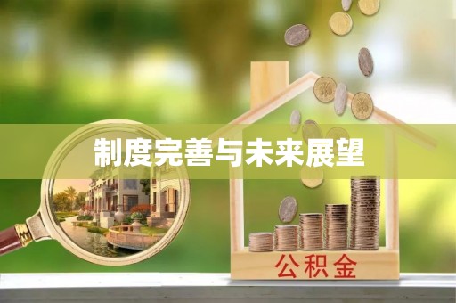 鸠江制度完善与未来展望