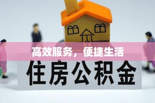 鸠江高效服务，便捷生活