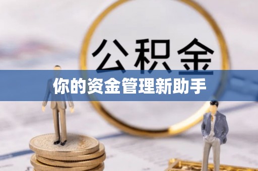 鸠江你的资金管理新助手