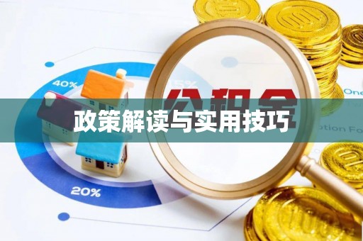 鸠江政策解读与实用技巧