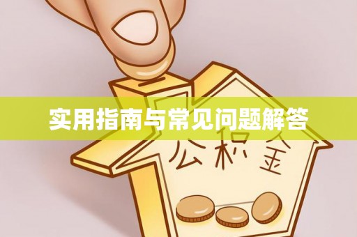 鸠江实用指南与常见问题解答