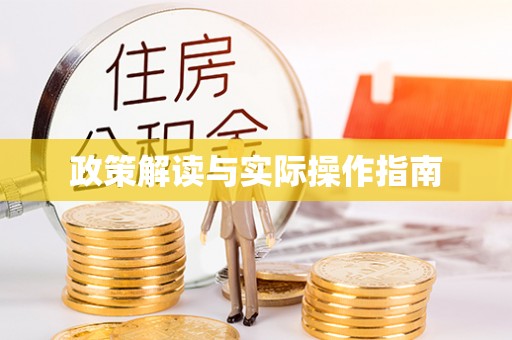 鸠江政策解读与实际操作指南