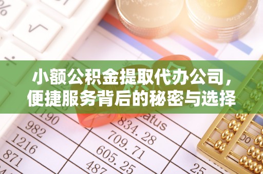 鸠江小额公积金提取代办公司，便捷服务背后的秘密与选择指南