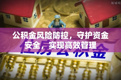 鸠江公积金风险防控，守护资金安全，实现高效管理