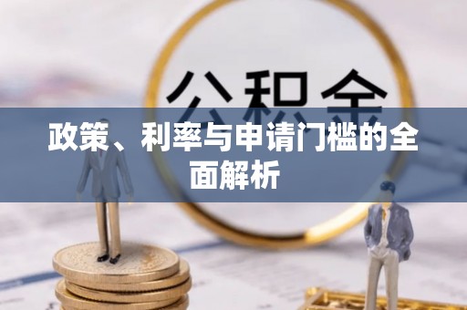 鸠江政策、利率与申请门槛的全面解析