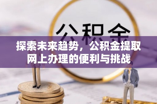 鸠江探索未来趋势，公积金提取网上办理的便利与挑战