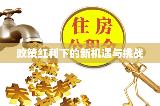 鸠江政策红利下的新机遇与挑战