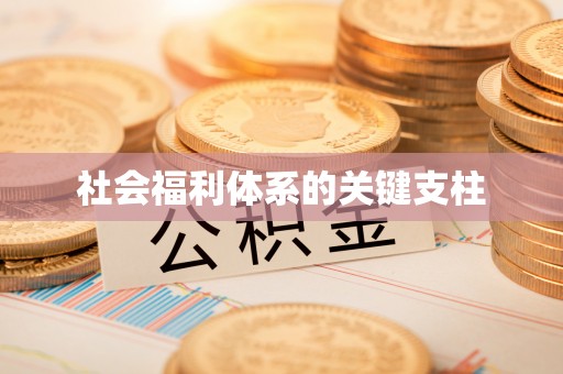 鸠江社会福利体系的关键支柱