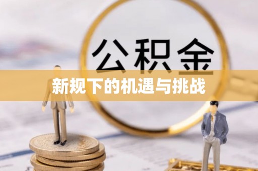 鸠江新规下的机遇与挑战