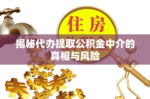 鸠江揭秘代办提取公积金中介的真相与风险