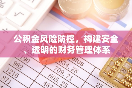 鸠江公积金风险防控，构建安全、透明的财务管理体系