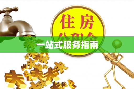 鸠江一站式服务指南