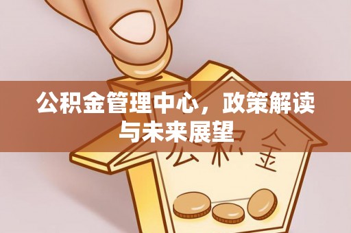 鸠江公积金管理中心，政策解读与未来展望