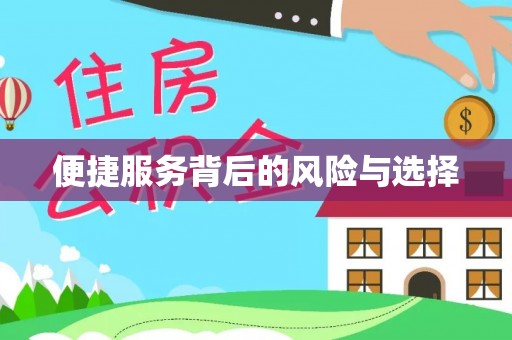 鸠江便捷服务背后的风险与选择