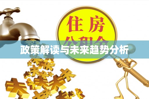 鸠江政策解读与未来趋势分析