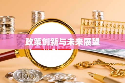 鸠江政策创新与未来展望