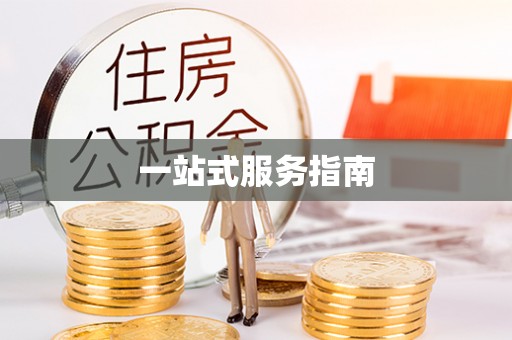 鸠江一站式服务指南