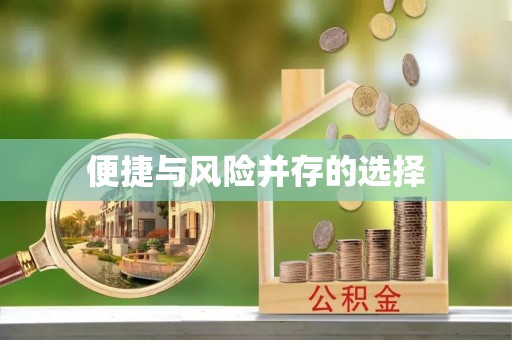 鸠江便捷与风险并存的选择