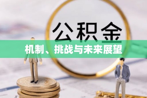 鸠江机制、挑战与未来展望