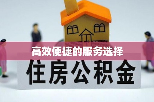 鸠江高效便捷的服务选择