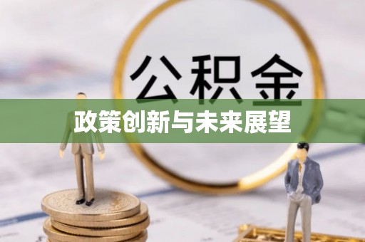 鸠江政策创新与未来展望